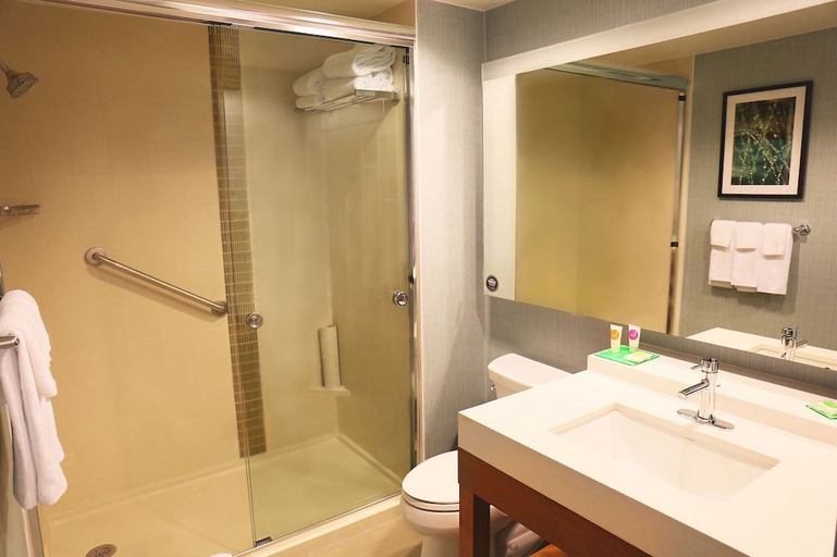 Bathroom 4, Hyatt Place Austin Airport, Travis