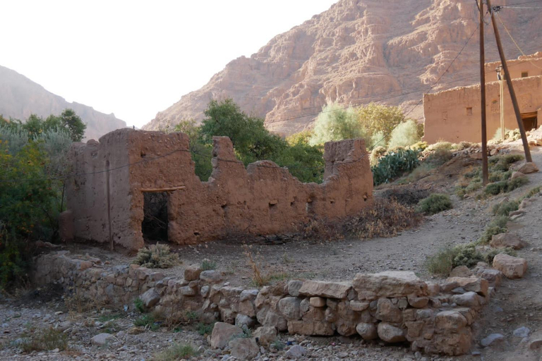 Others 5, La Belle etoile, Ouarzazate
