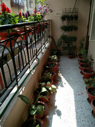 Others 4, Atithi Ashray, Patna