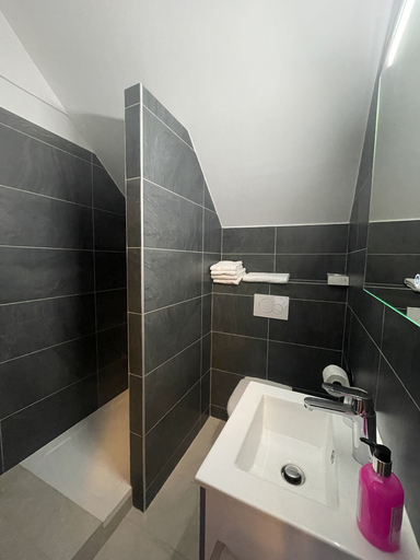 Bathroom, Hôtel Restaurant Ô Pervenches, Savoie