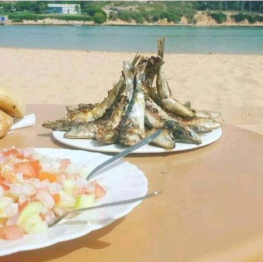 Food & Drinks 4, Araucaria, El Jadida