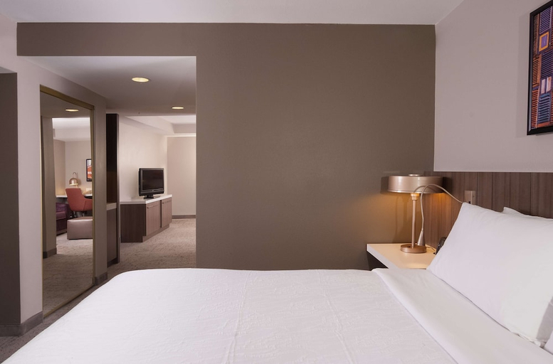 Bedroom 3, Hilton Garden Inn Atlanta Airport/Millennium Center, Fulton