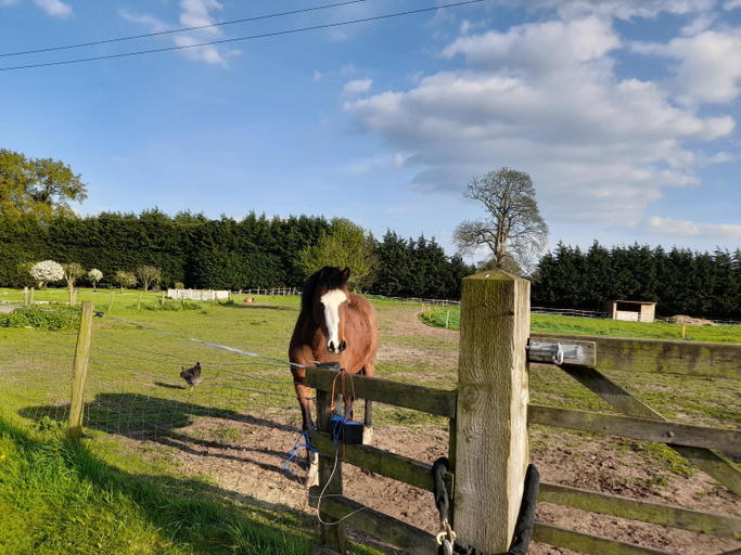 Others 5, Mile House Barn Bed & Breakfast, Cheshire East