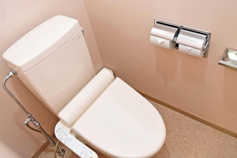 Bathroom 3, Hotel Koshuen, Wajima