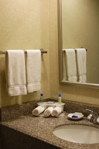 Bathroom, Best Western Galleria Inn & Suites, Erie
