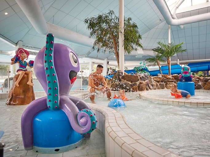 Pool 4, Comfortable Child-friendly Villa, in Limburg, Roggel en Neer