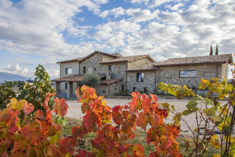Fattoria Colsanto, Perugia