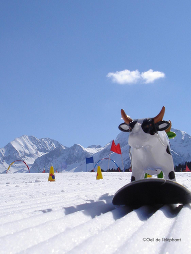 Others 5, Belle Sayette - A 200m des pistes - pour 8 personnes, Hautes-Pyrénées