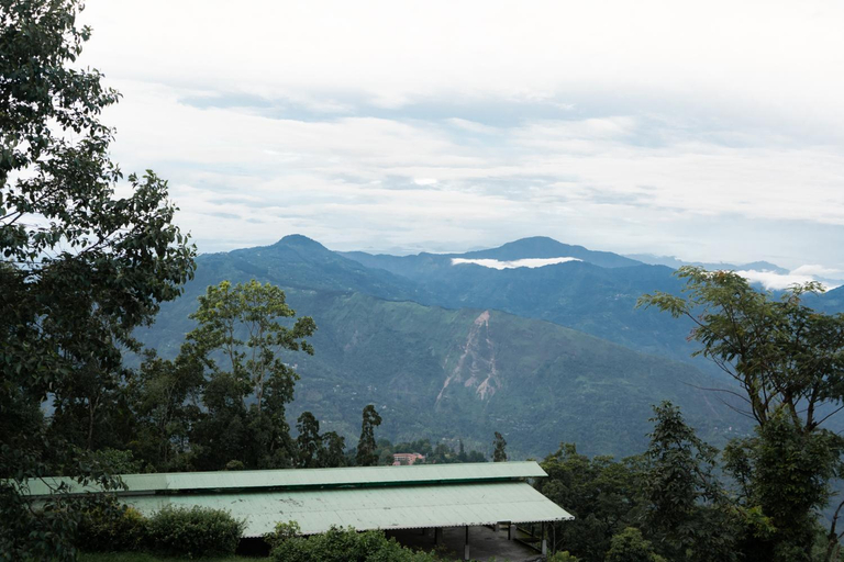 Others 3, Basant Hritu Homestay, Darjiling