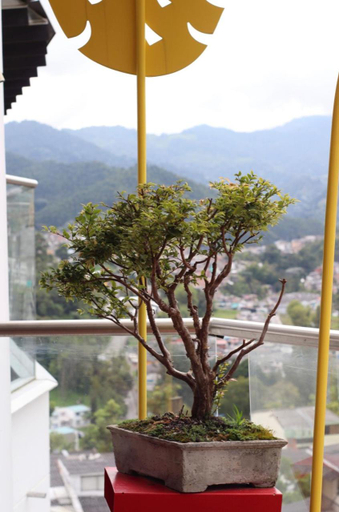 Others 3, Apartahotel Millennials, Manizales