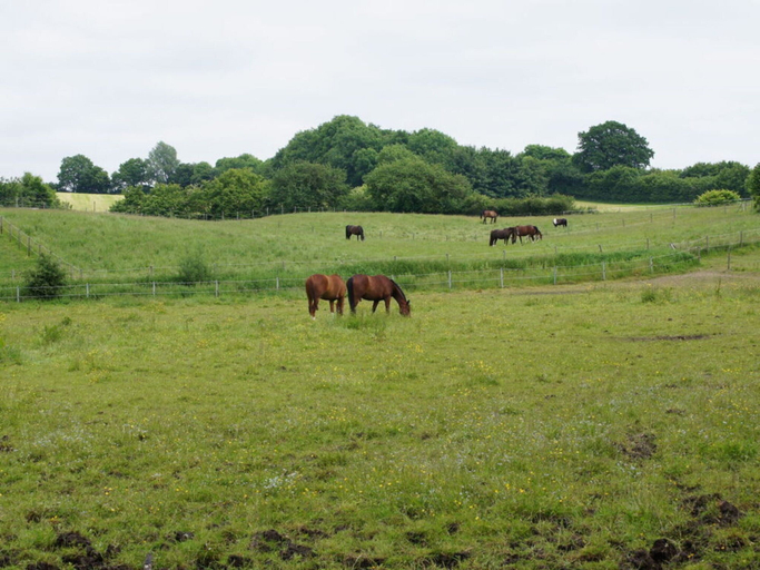 Others 5, Farm at Grebiner See, Plön