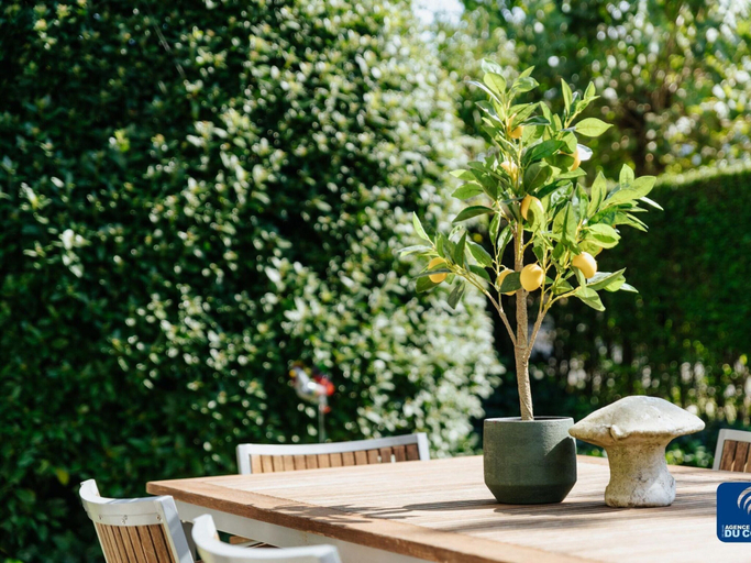 Others 2, Pet-friendly Villa Retreat, West-Vlaanderen