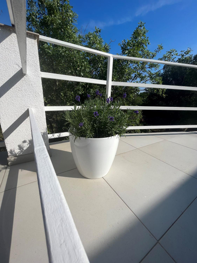 Others 4, Terrace 50, Krk
