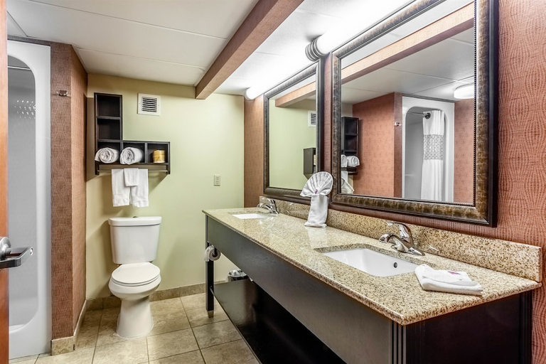 Bathroom 3, Wingate by Wyndham Conway AR, Faulkner