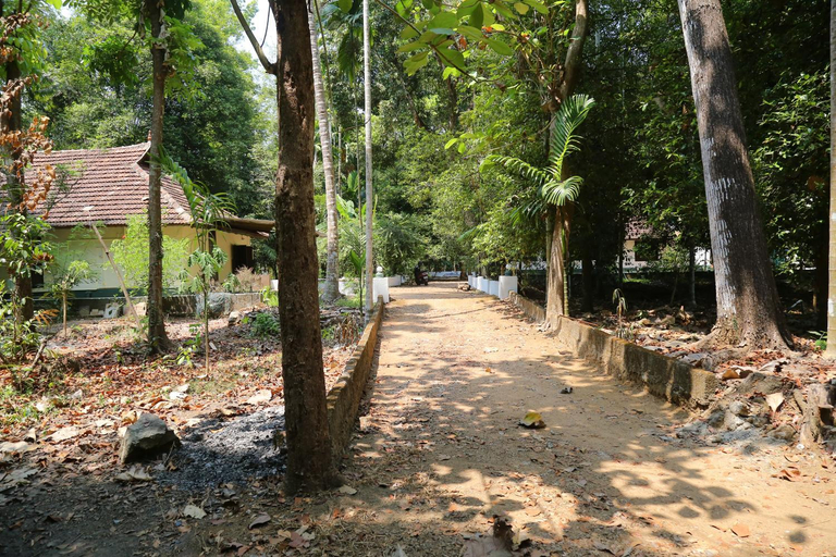 Others 2, The Mana-Heritage stay - Chengazhimattam Mana, Kottayam