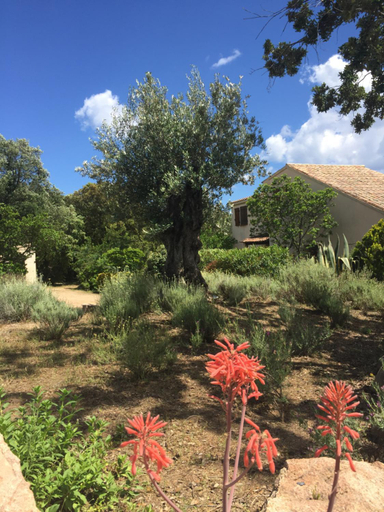 Exterior view, Domaine Valdaronu, Corse-du-Sud