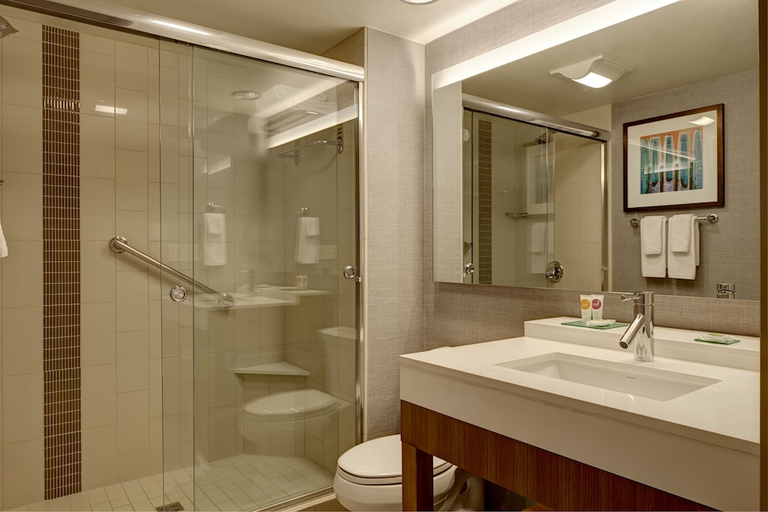 Bathroom 5, Hyatt Place DFW, Tarrant