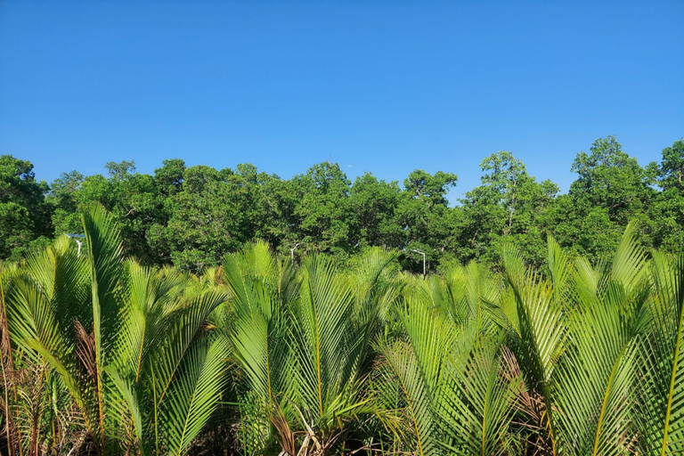 Others 3, Alcoy Plaza Eco Park Cebu, Alcoy
