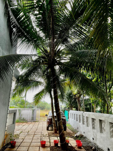 Others 5, Sea Nest, Raigarh