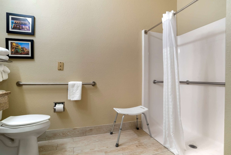 Bathroom 4, Comfort Suites Mobile East Bay, Baldwin