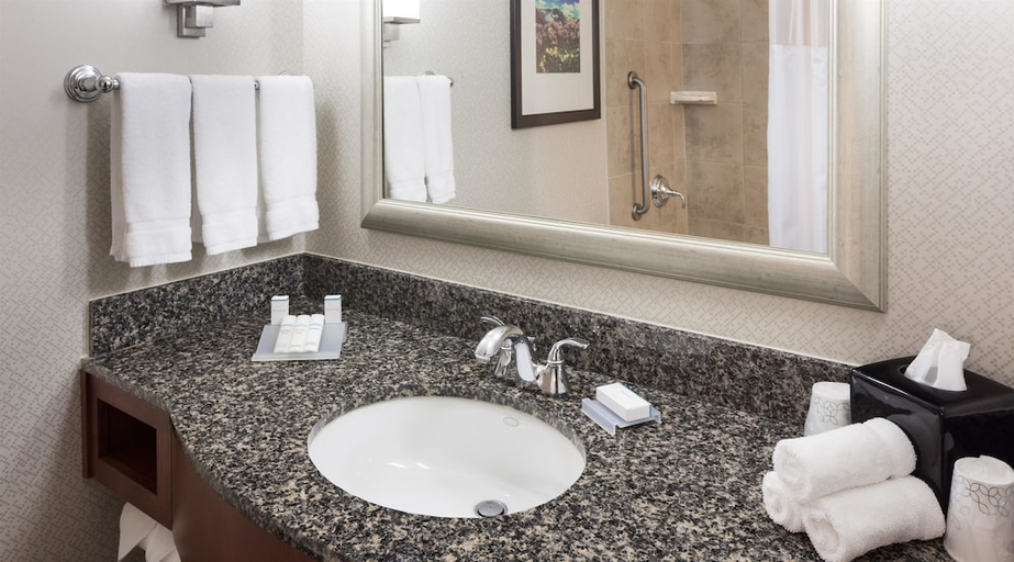 Bathroom 4, Hilton Garden Inn Denver Downtown, Denver