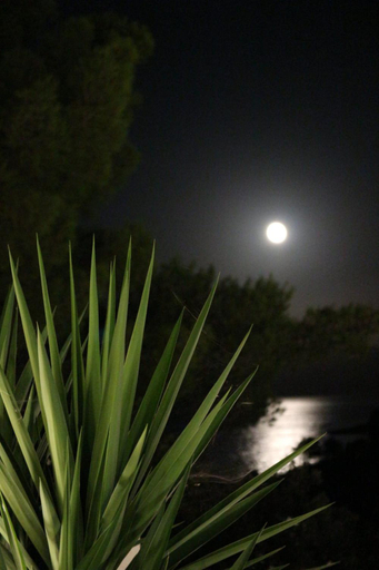 Others 4, Holiday Hvar, Stari Grad