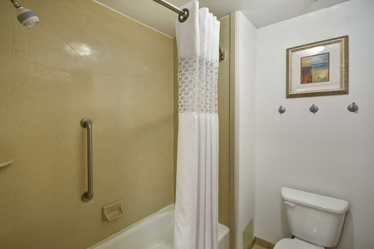 Bathroom 4, Hampton Inn & Suites Corpus Christi I-37 - Navigation Blvd, Nueces