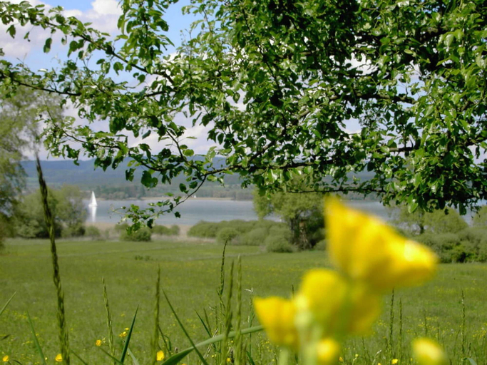 Golf, Boardinghouse Bodensee, Konstanz