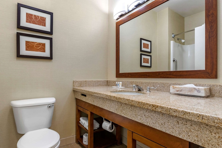 Bathroom 4, Comfort Suites Coralville I-80, Johnson