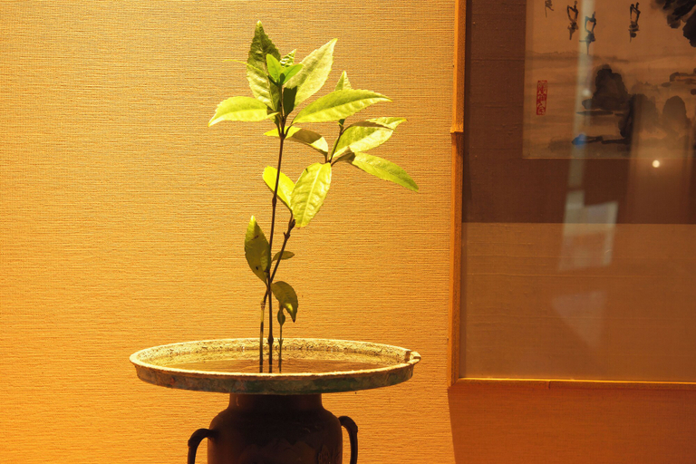 Food & Drinks 3, Kagetsutei, Shimoda