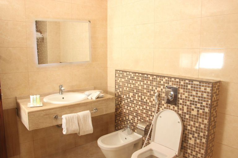 Bathroom 4, Sandy Palace Hotel, Wadi Essier