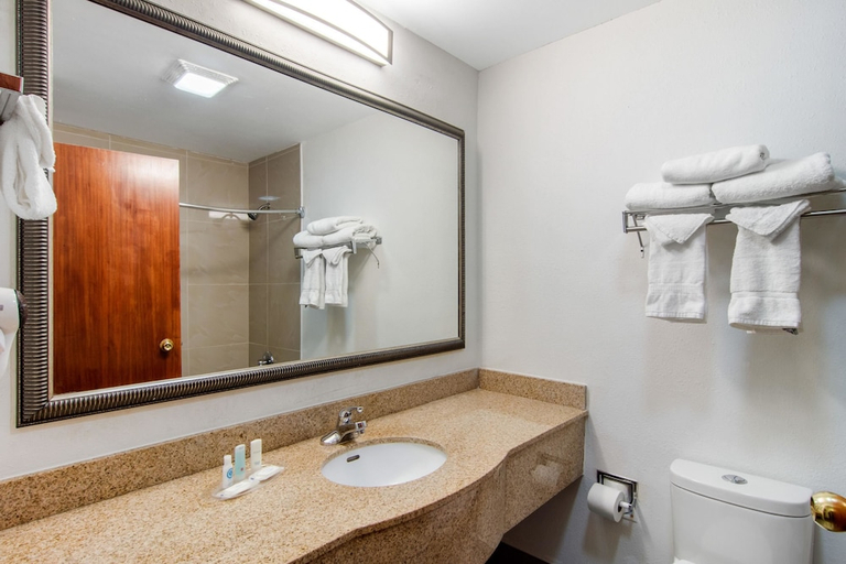 Bathroom 3, Spark by Hilton Duluth, Gwinnett