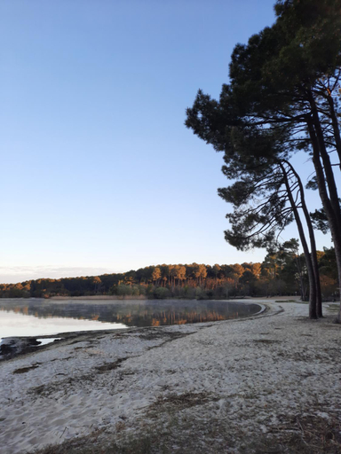 Others 4, Au Petit Nid de Sanguinet, Landes