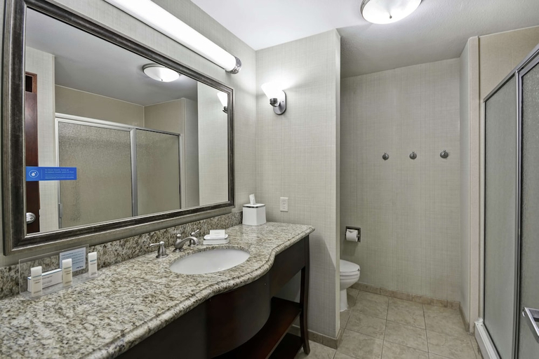 Bathroom 4, Hampton Inn & Suites Corpus Christi I-37 - Navigation Blvd, Nueces