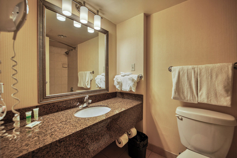 Bathroom 3, Quality Inn & Conference Centre Calgary - Macleod Trail, Division No. 6