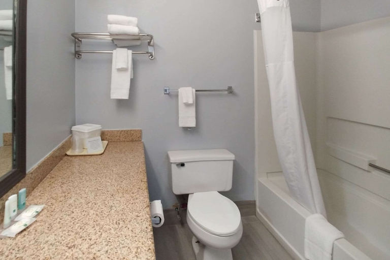 Bathroom 4, Quality Inn Dublin I-81, Pulaski