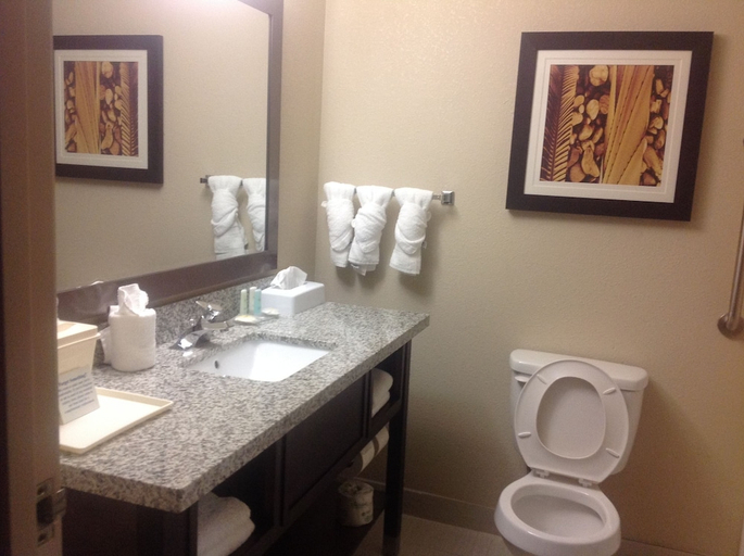 Bathroom 3, Comfort Inn Dunn, Harnett