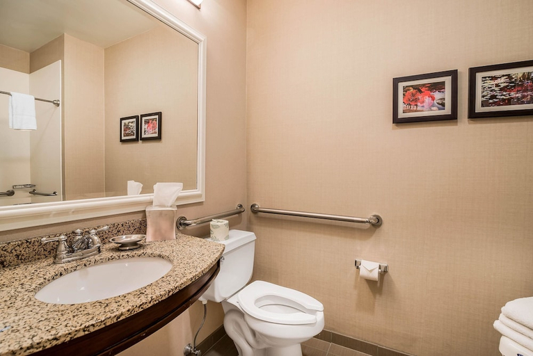 Bathroom 3, Comfort Inn Concord South End, Merrimack