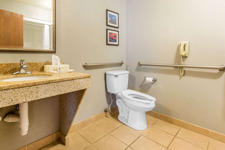 Bathroom 3, Comfort Suites Fairview Heights - St. Louis, Saint Clair