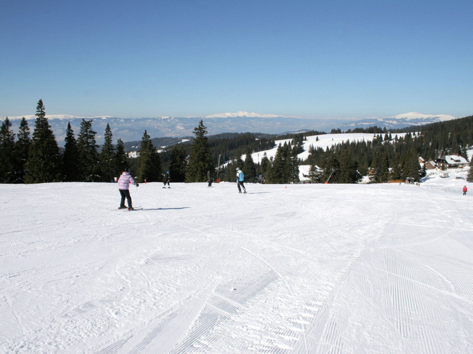 Others 5, Chalet in Carinthia With Sauna Near Ski Slopes, Wolfsberg