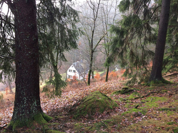 Others 4, Holiday Home Waldhaus am Burbach, Siegen-Wittgenstein
