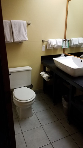 Bathroom 4, Quality Inn & Suites Fillmore I-15, Millard