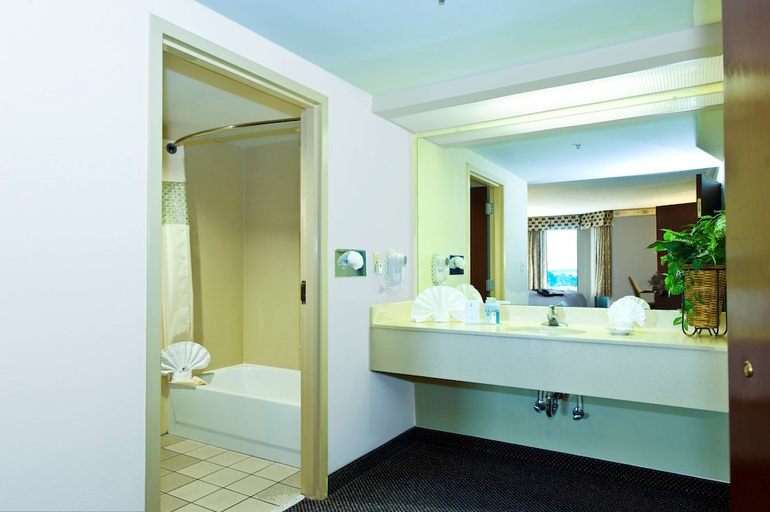 Bathroom 3, Hampton Inn Suites Atlanta Airport North I85, Fulton