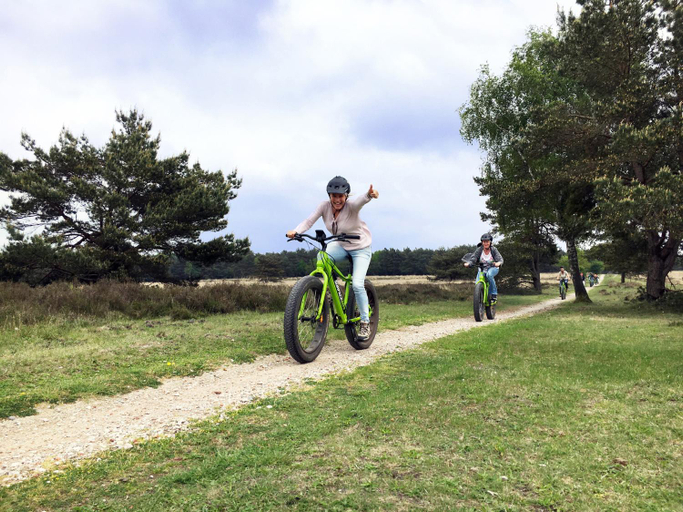 Others 5, Chalet Op De Veluwe # Berk, Putten