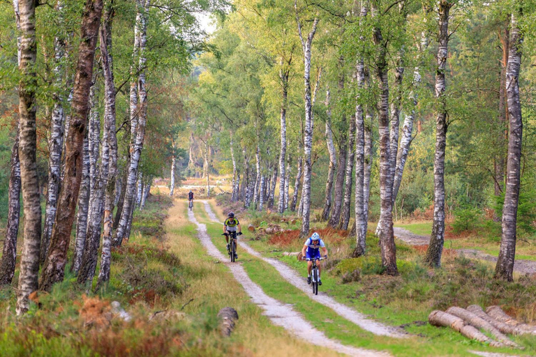 5, Chalet Op De Veluwe # Linde, Putten