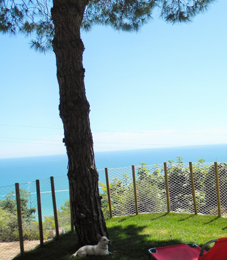 Others 4, B&B Verderosa, Ascoli Piceno