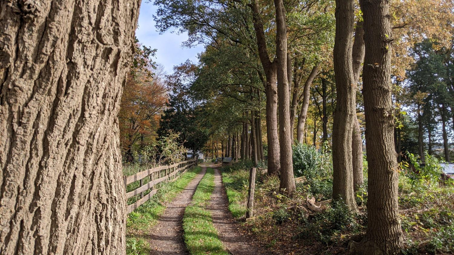 4, Chalet Op De Veluwe # Linde, Putten