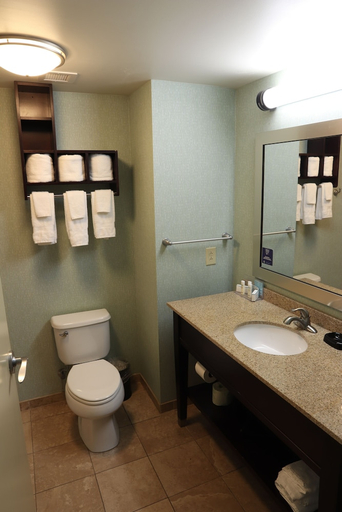 Bathroom 4, Hampton Inn Fayetteville, Lincoln