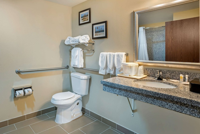 Bathroom 4, Comfort Suites Foley - North Gulf Shores, Baldwin