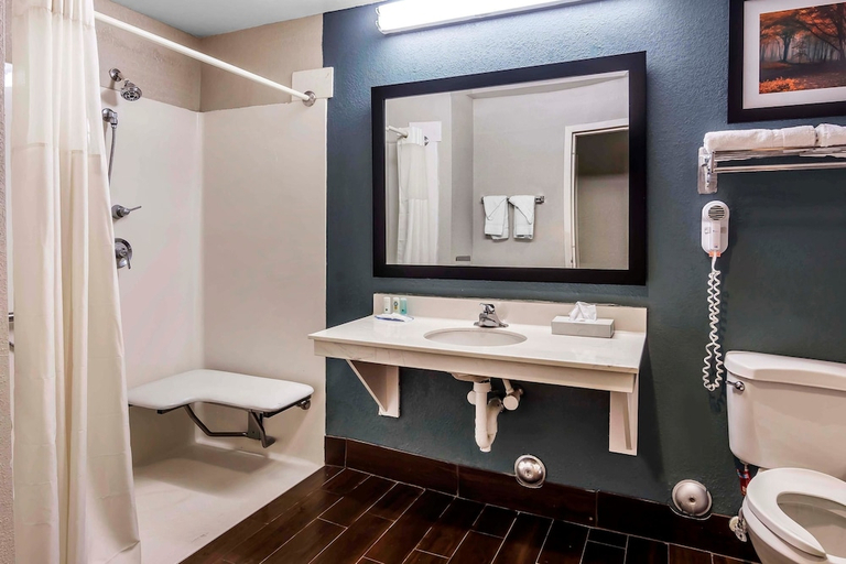 Bathroom 3, Quality Inn & Suites Exmore - Eastern Shore, Northampton